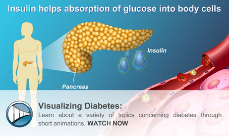 Learn about a variety of topics concerning diabetes through short animations.